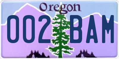 OR license plate 002BAM