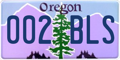 OR license plate 002BLS