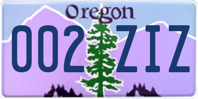 OR license plate 002ZIZ