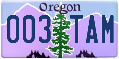 OR license plate 003TAM