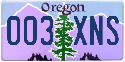 OR license plate 003XNS