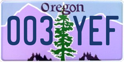 OR license plate 003YEF