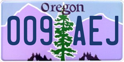 OR license plate 009AEJ