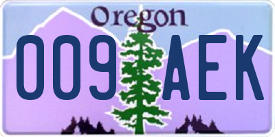 OR license plate 009AEK