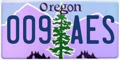 OR license plate 009AES
