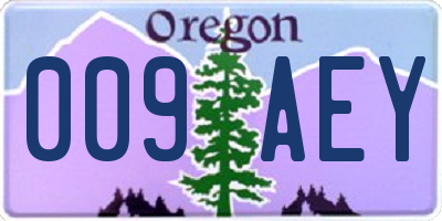 OR license plate 009AEY
