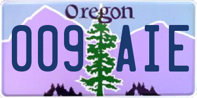OR license plate 009AIE