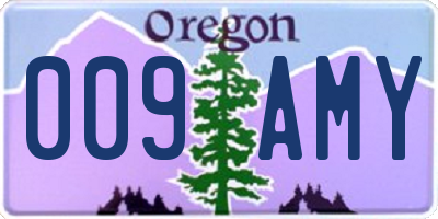 OR license plate 009AMY