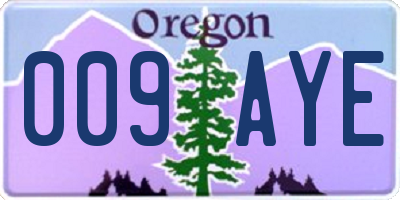 OR license plate 009AYE
