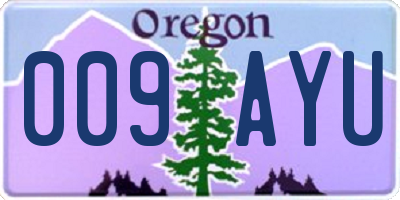 OR license plate 009AYU