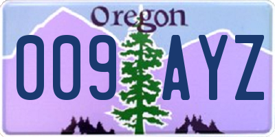 OR license plate 009AYZ