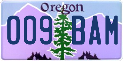 OR license plate 009BAM
