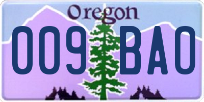 OR license plate 009BAO