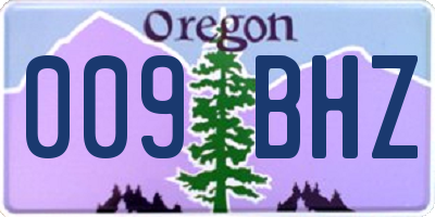 OR license plate 009BHZ