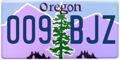 OR license plate 009BJZ