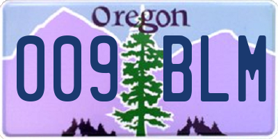 OR license plate 009BLM