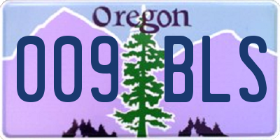 OR license plate 009BLS
