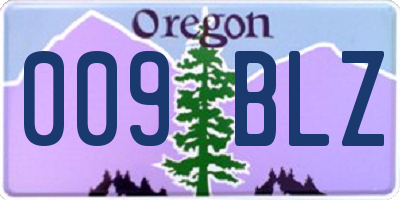 OR license plate 009BLZ