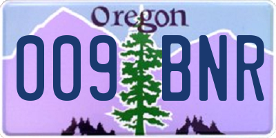 OR license plate 009BNR