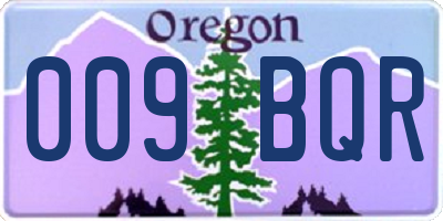 OR license plate 009BQR