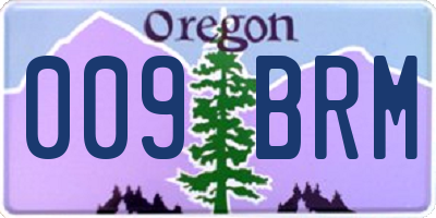OR license plate 009BRM