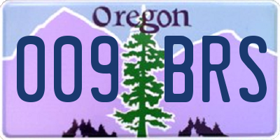 OR license plate 009BRS