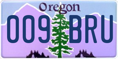 OR license plate 009BRU