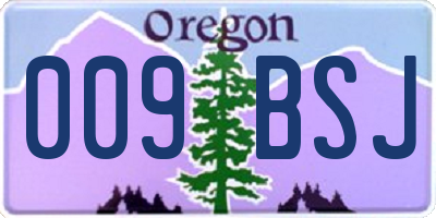 OR license plate 009BSJ