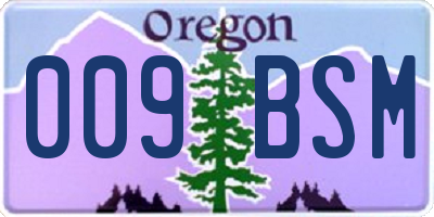 OR license plate 009BSM