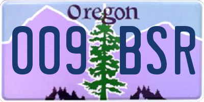 OR license plate 009BSR