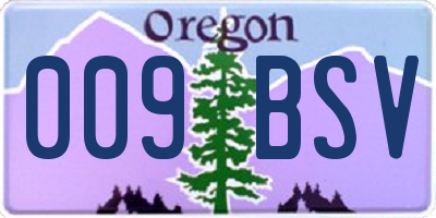 OR license plate 009BSV