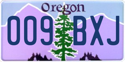 OR license plate 009BXJ