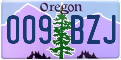 OR license plate 009BZJ