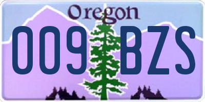 OR license plate 009BZS