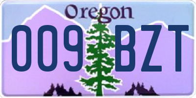 OR license plate 009BZT