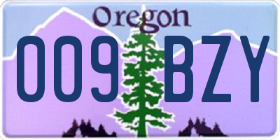 OR license plate 009BZY