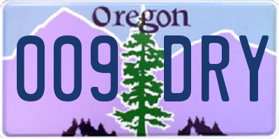 OR license plate 009DRY