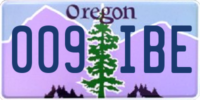 OR license plate 009IBE