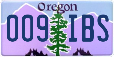 OR license plate 009IBS