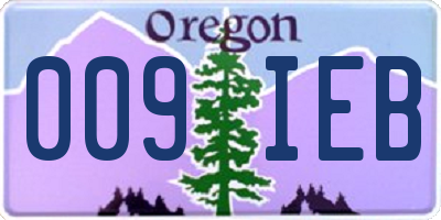 OR license plate 009IEB