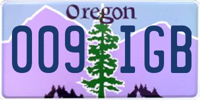 OR license plate 009IGB