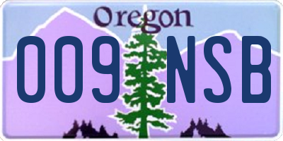 OR license plate 009NSB