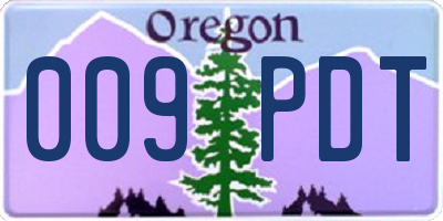 OR license plate 009PDT