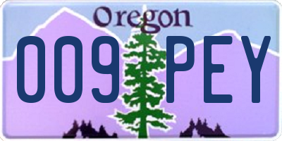 OR license plate 009PEY