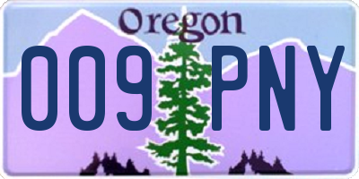 OR license plate 009PNY