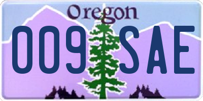 OR license plate 009SAE