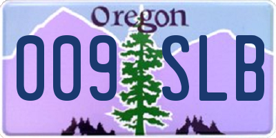 OR license plate 009SLB