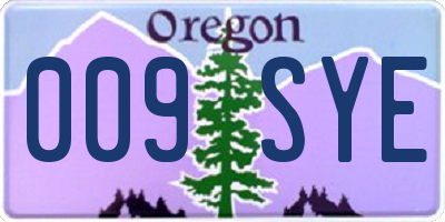 OR license plate 009SYE