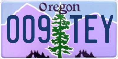 OR license plate 009TEY