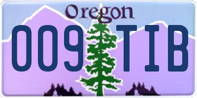 OR license plate 009TIB